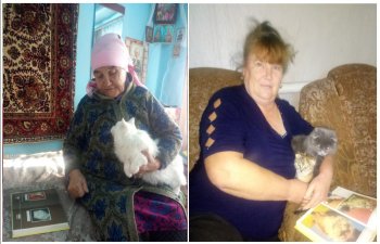 � �������� ����� ���������� � �������� ������������